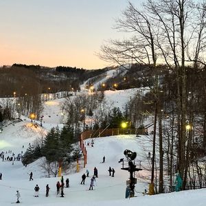 Meet your Posher, Frances